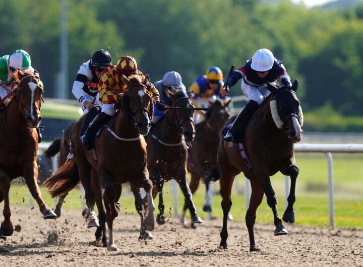 Today on Sky Sports Racing: Ffos Las, Plumpton and Wolverhampton | Racing News