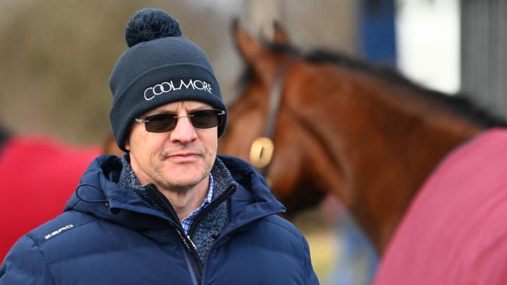 2000 Guineas: Albert Einstein the leading Classic hope for Aidan O'Brien | Racing News