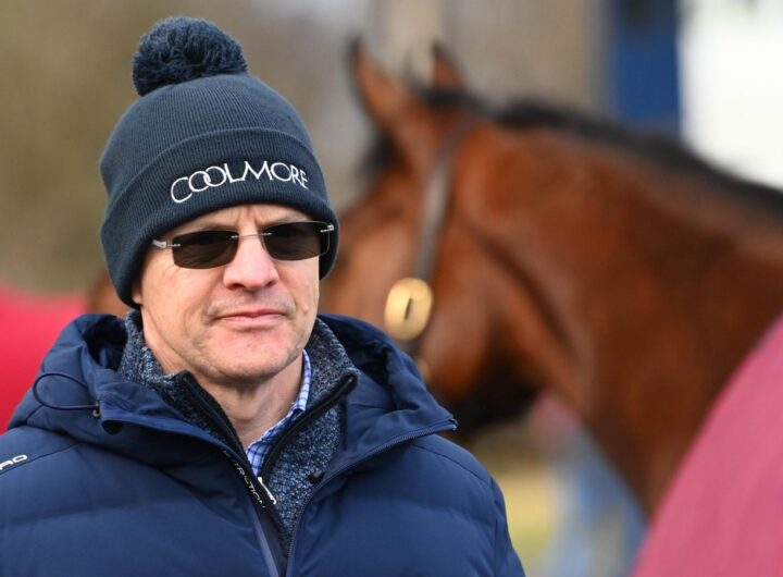 2000 Guineas: Albert Einstein the leading Classic hope for Aidan O'Brien | Racing News