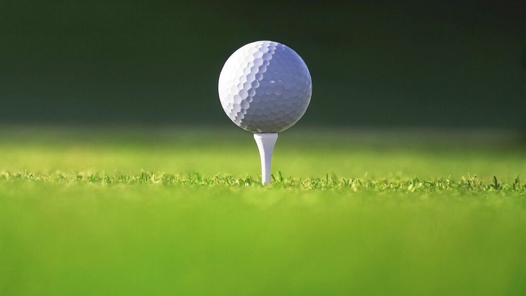 S.H. Kim faces military service even if he reaches Masters