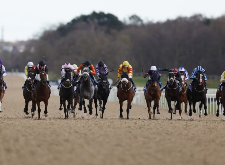 Today on Sky Sports Racing: Fontwell, Lingfield and Newcastle | Racing News