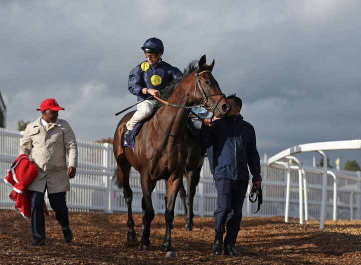 Today on Sky Sports Racing: Lincoln and Dubai World Cup headline stellar Saturday | Racing News