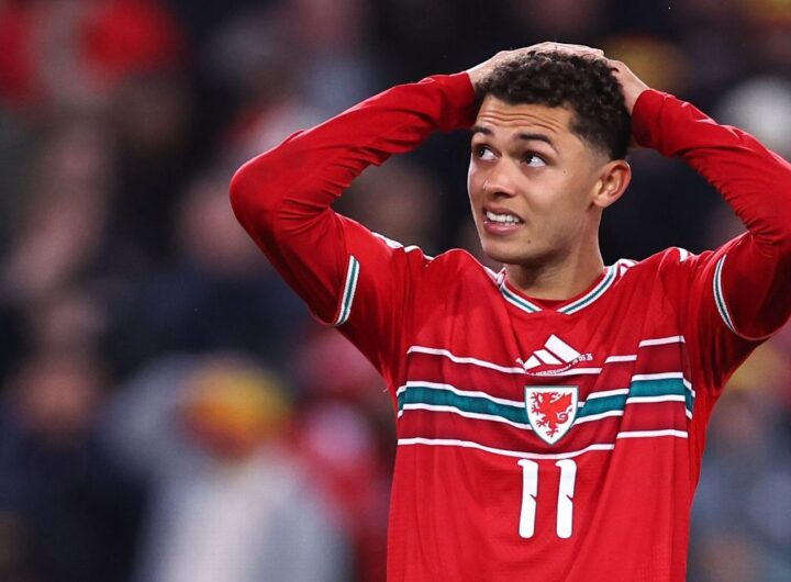 Wales went 'full gas' but paid price in failed World Cup bid