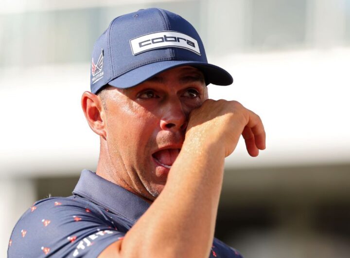 Woodland wins Houston Open, first title since brain surgery