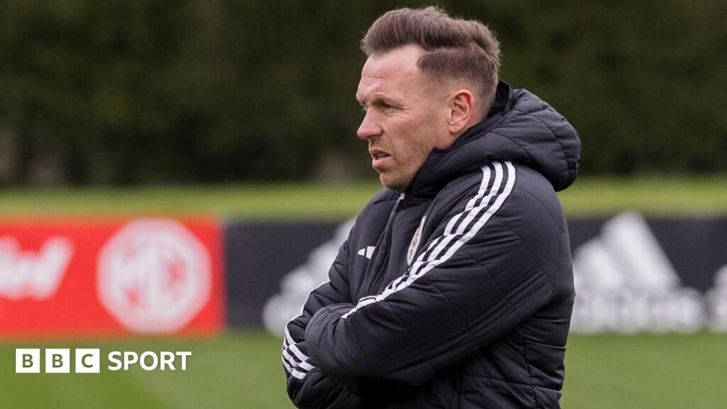 Wales v Bosnia-Herzegovina: What Wales need to win World Cup play-off