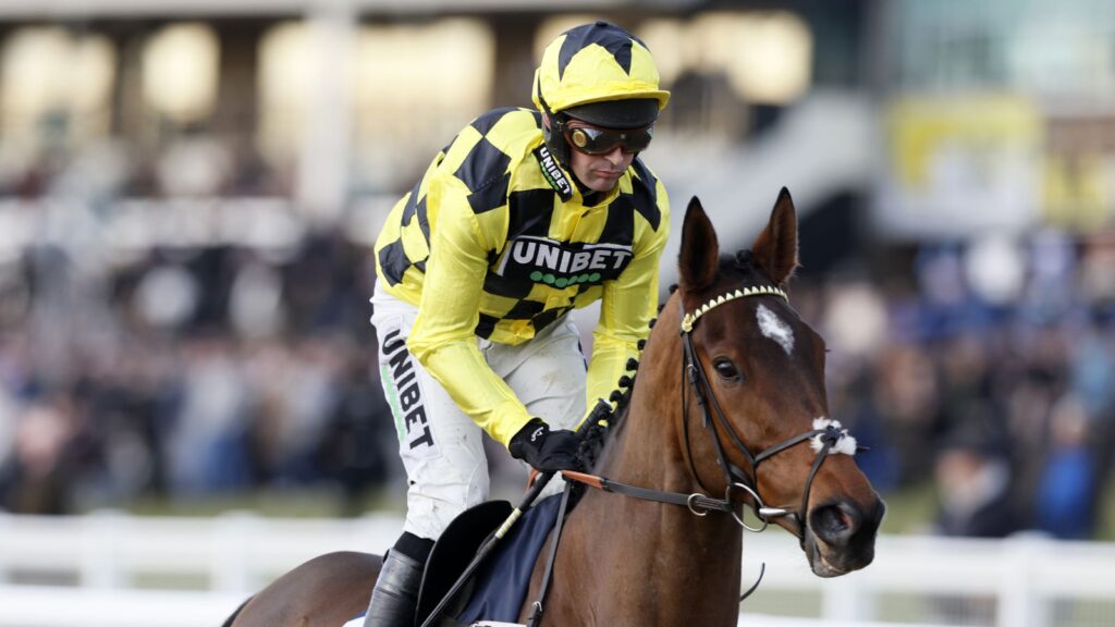 Sir Gino dies: Nicky Henderson's multiple Grade 1 winner passes away after 'severe deep-seated infections' | Racing News
