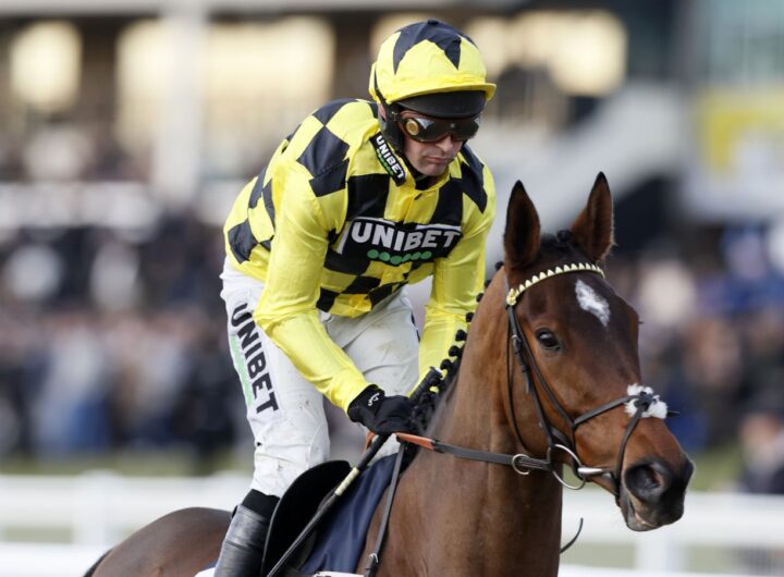 Sir Gino dies: Nicky Henderson's multiple Grade 1 winner passes away after 'severe deep-seated infections' | Racing News